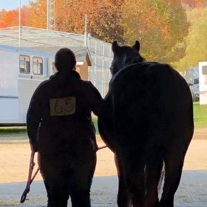 Meet your Posher, Natasha